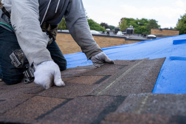 Best Roof Gutter Cleaning  in Roxana, IL