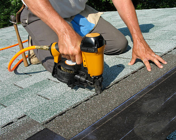 Best Roof Leak Repair  in Roxana, IL