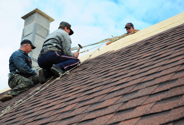 Best Roof Replacement Cost  in Roxana, IL